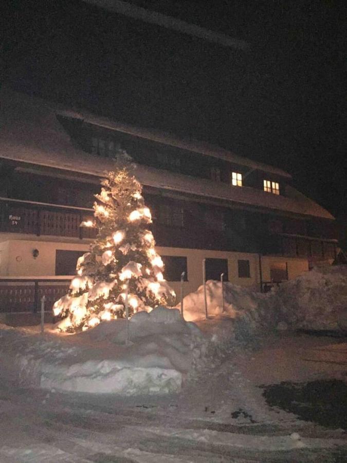 Forest Apartment Menzenschwand St. Blasien Eksteriør bilde
